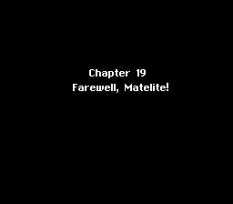 Chapter 19